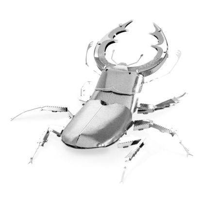 Stag Beetle