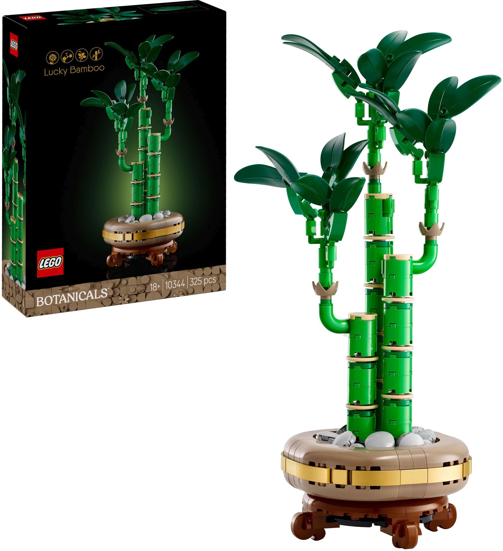Botanicals 10344 Glücks-Bambus