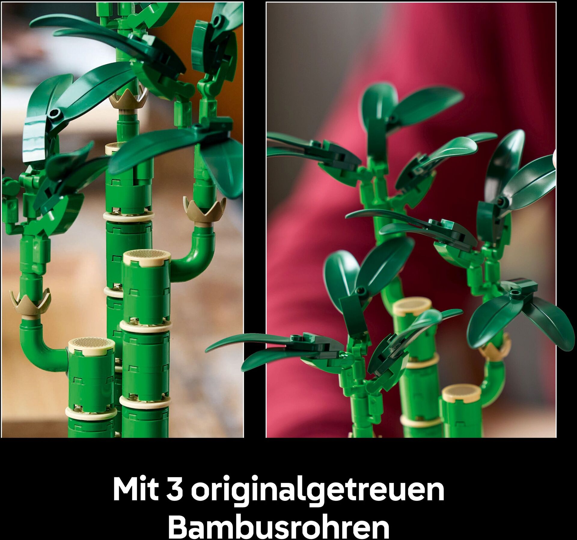 Botanicals 10344 Glücks-Bambus