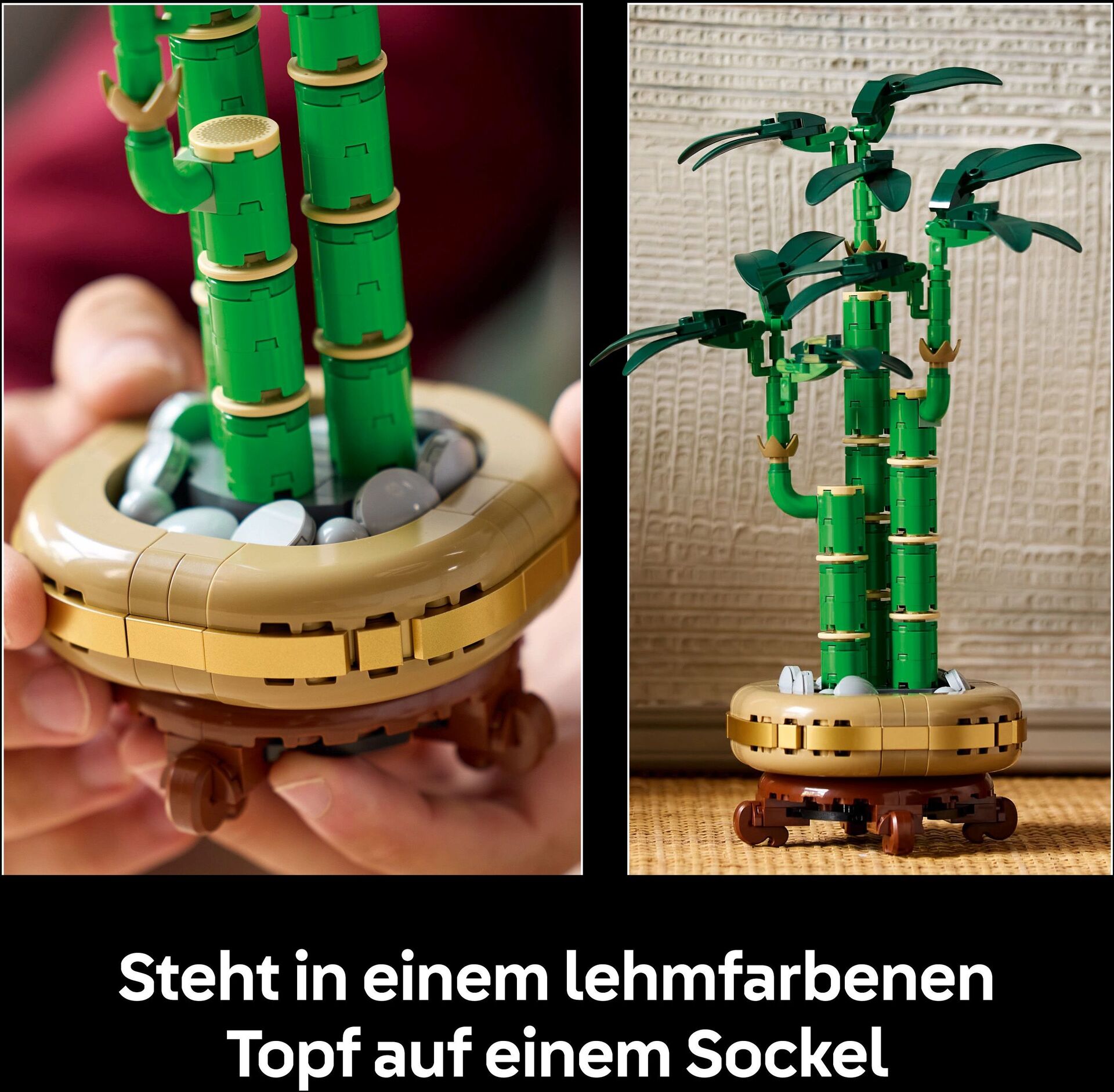 Botanicals 10344 Glücks-Bambus