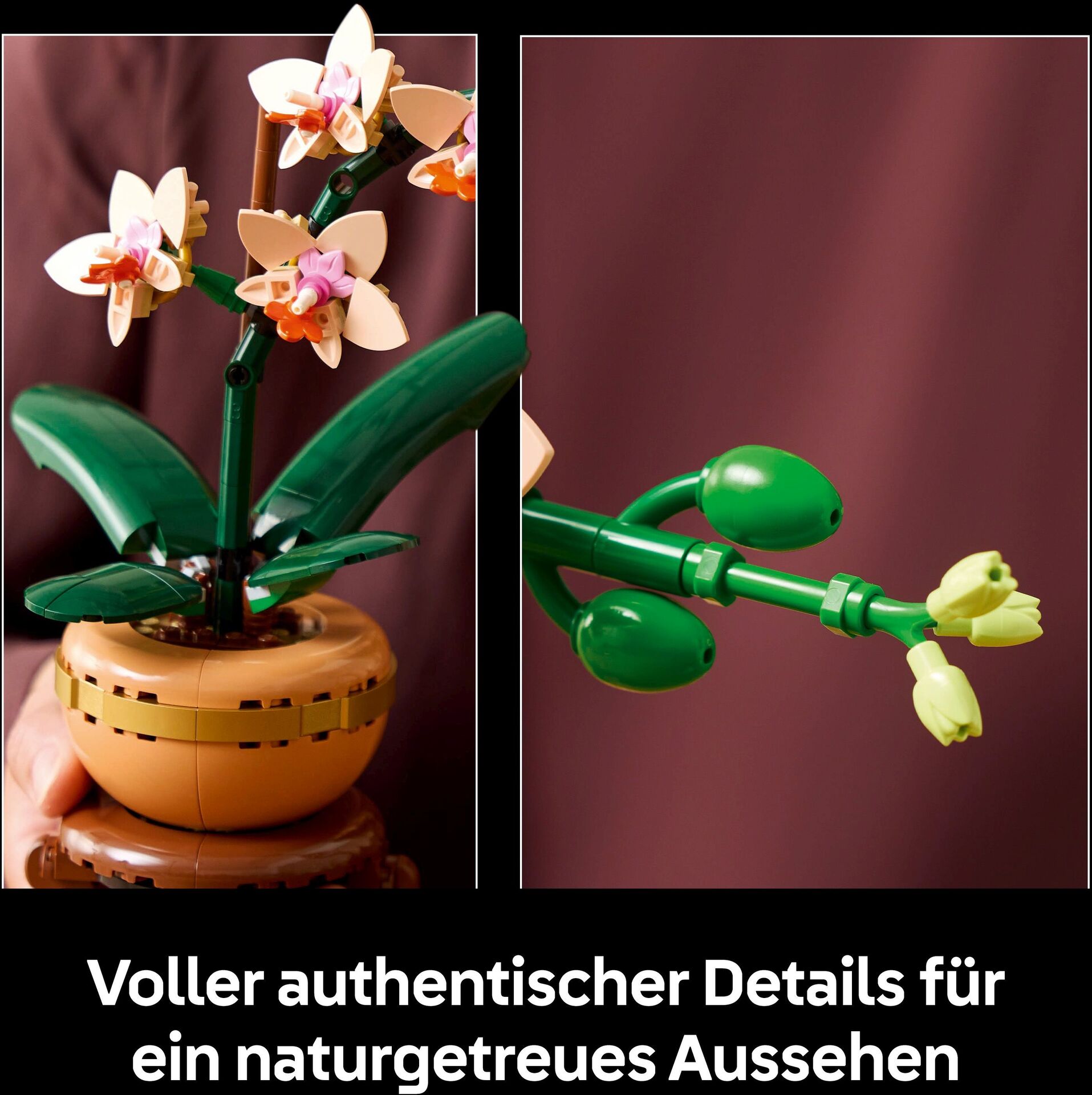 Botanicals 10343 Mini-Orchidee