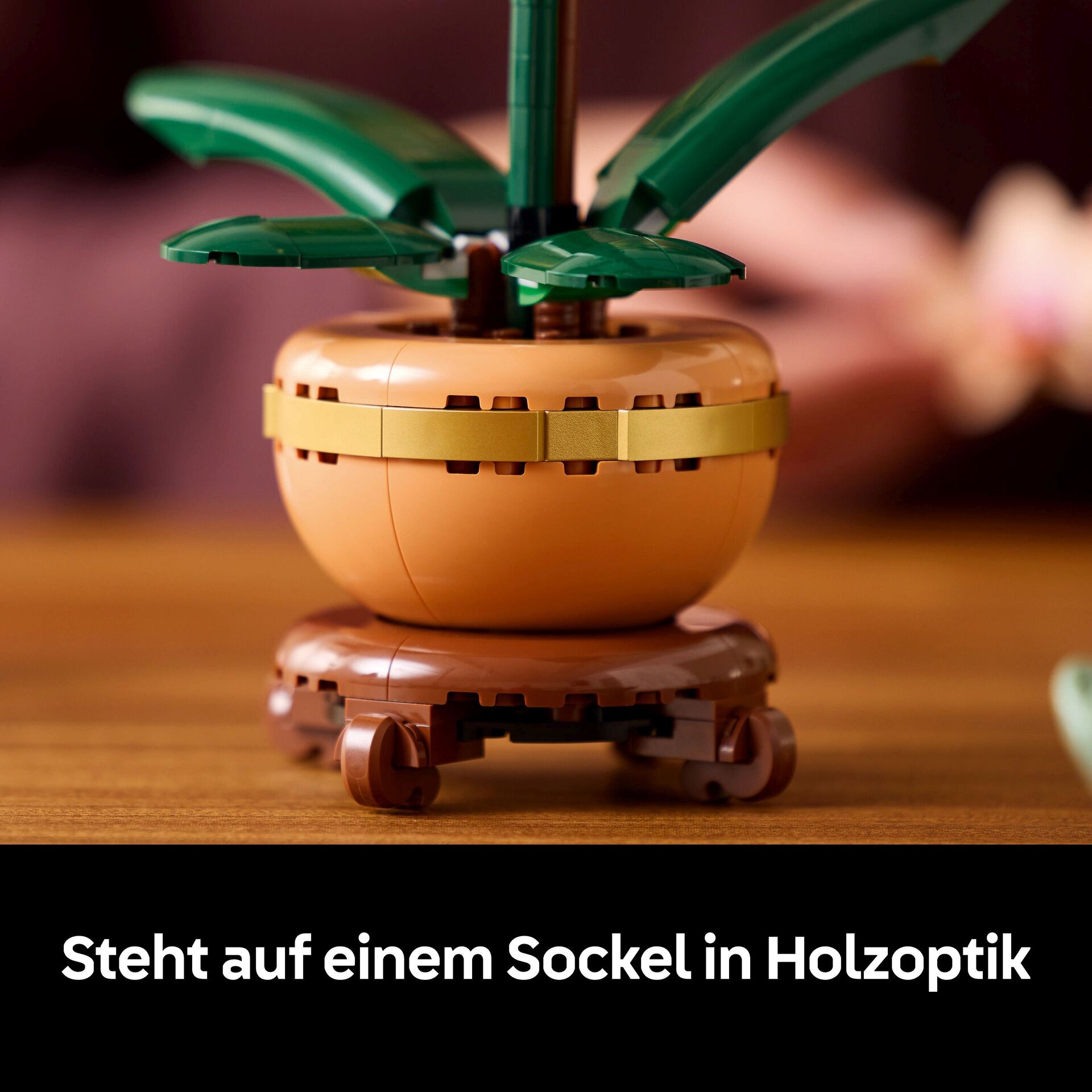 Botanicals 10343 Mini-Orchidee