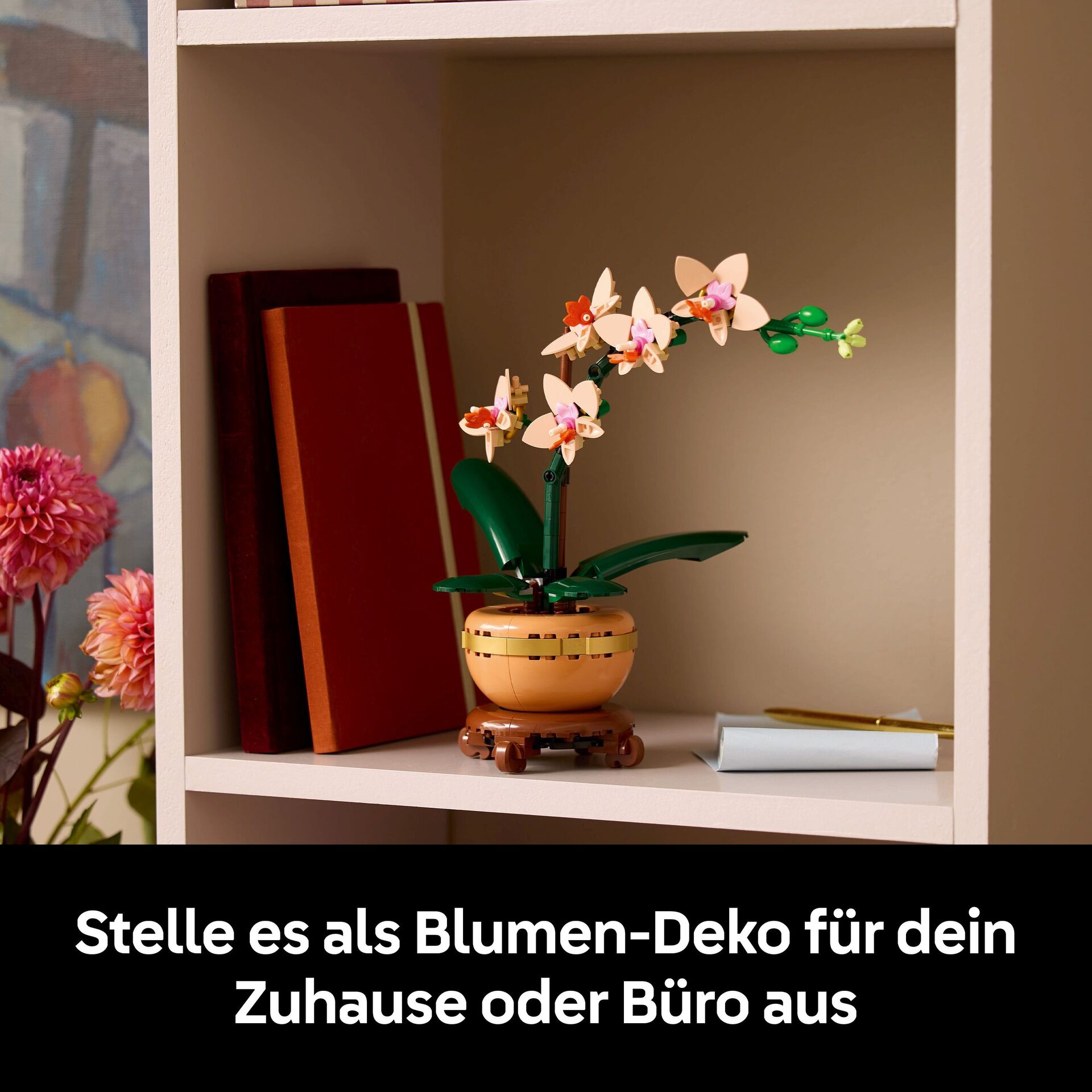 Botanicals 10343 Mini-Orchidee