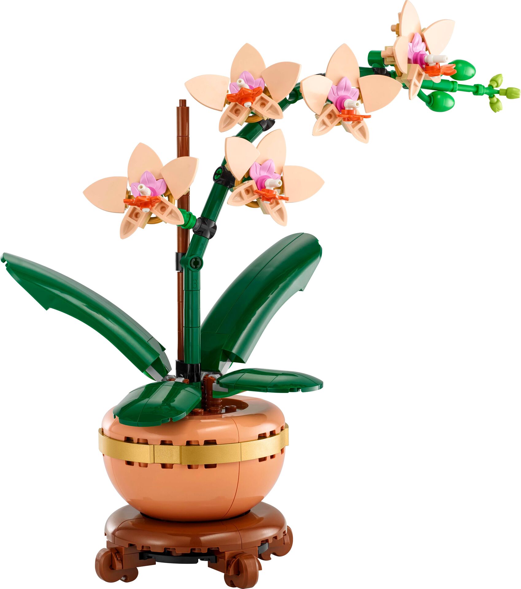 Botanicals 10343 Mini-Orchidee