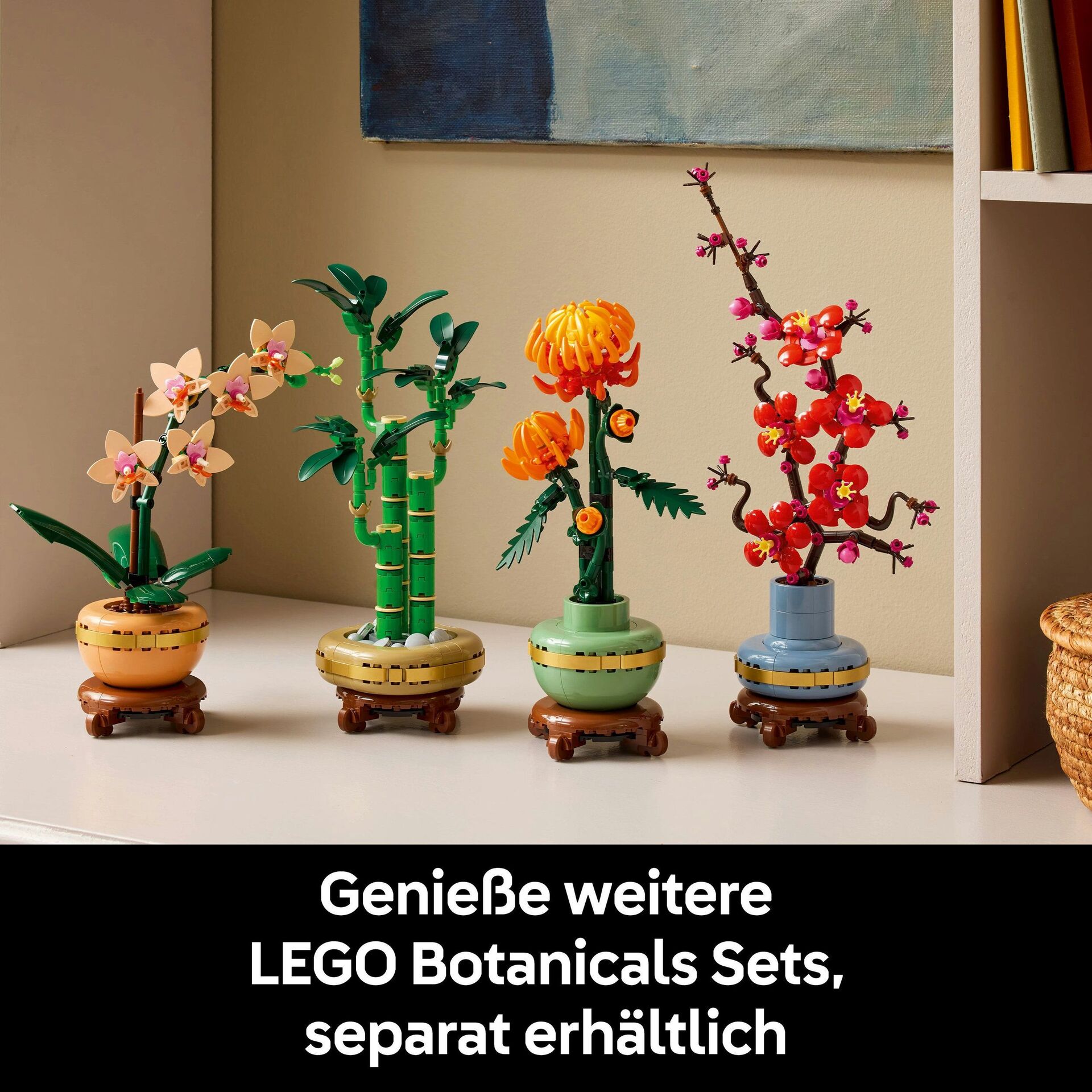 Botanicals 10343 Mini-Orchidee