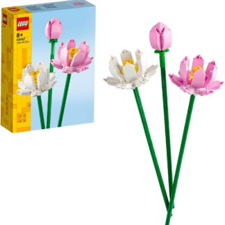 Creator Lotusblumen