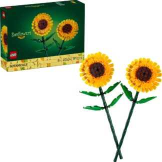Sonnenblumen