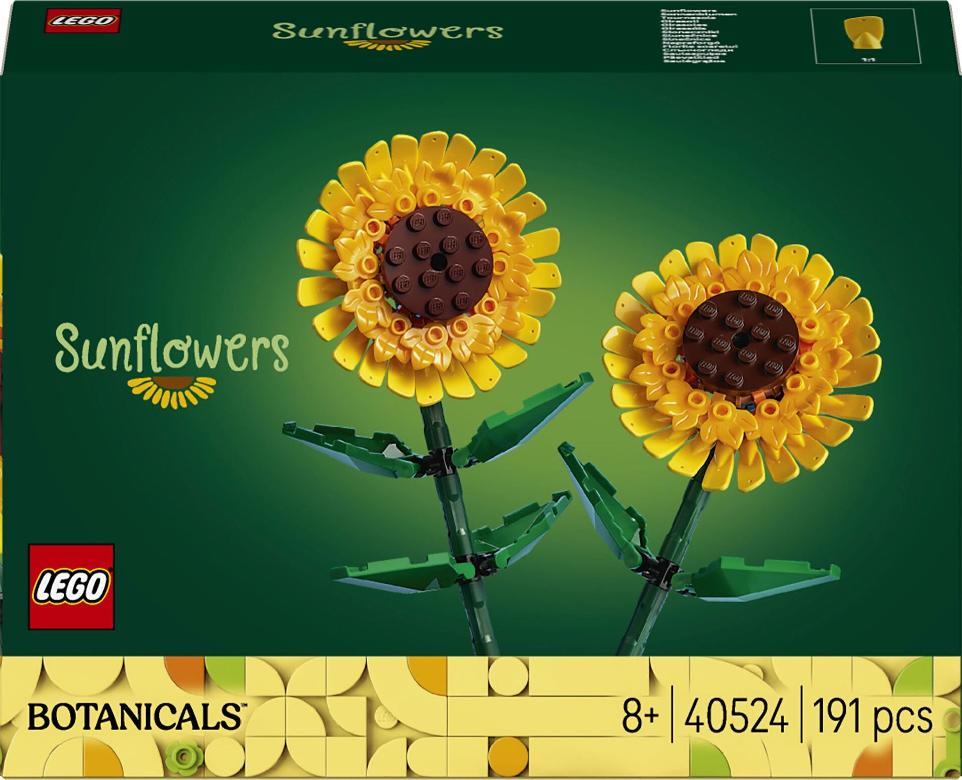 Sonnenblumen