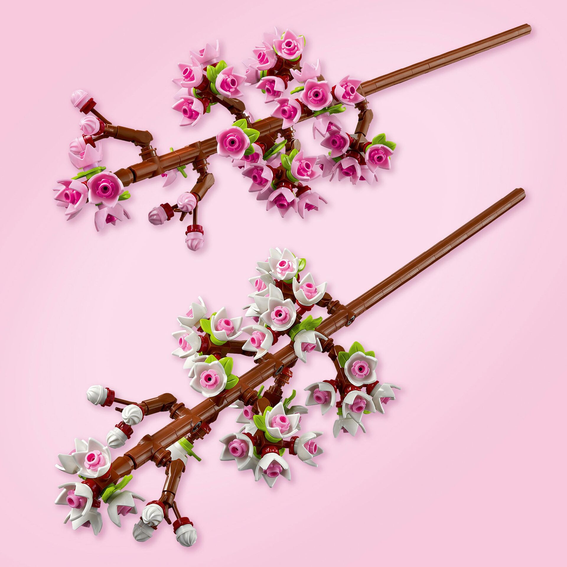 Kirschblüten