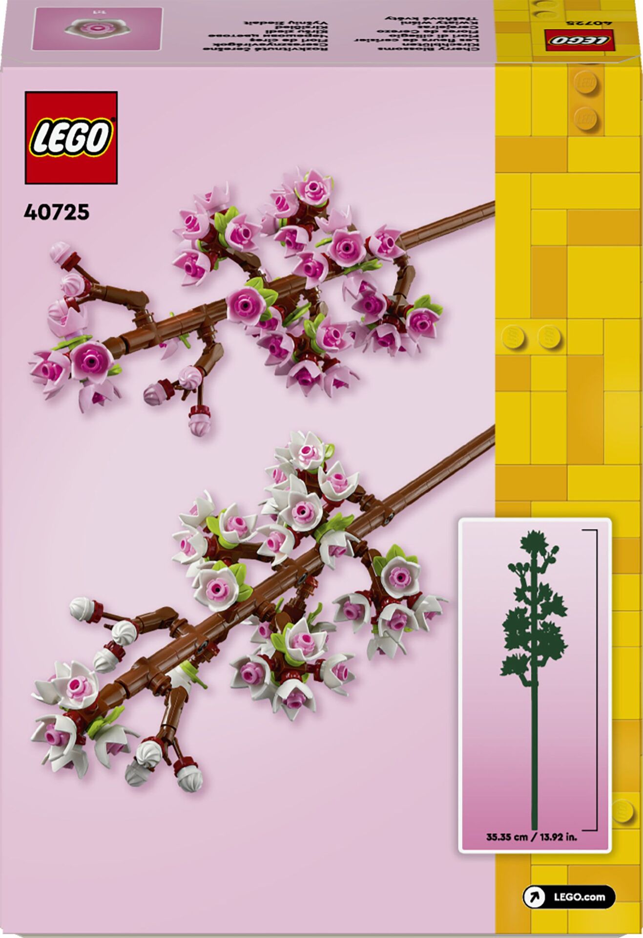 Kirschblüten