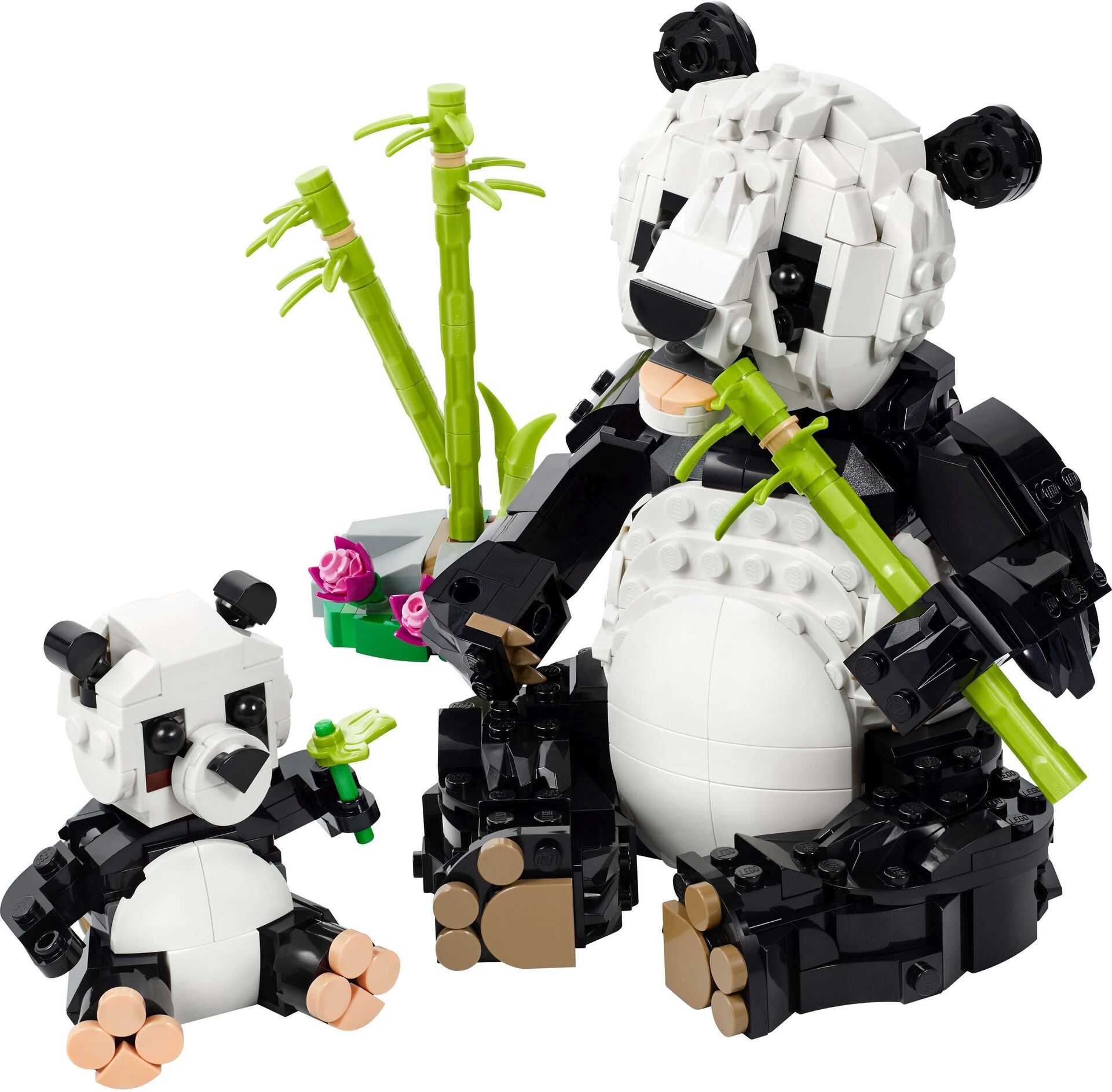 Pandafamilie