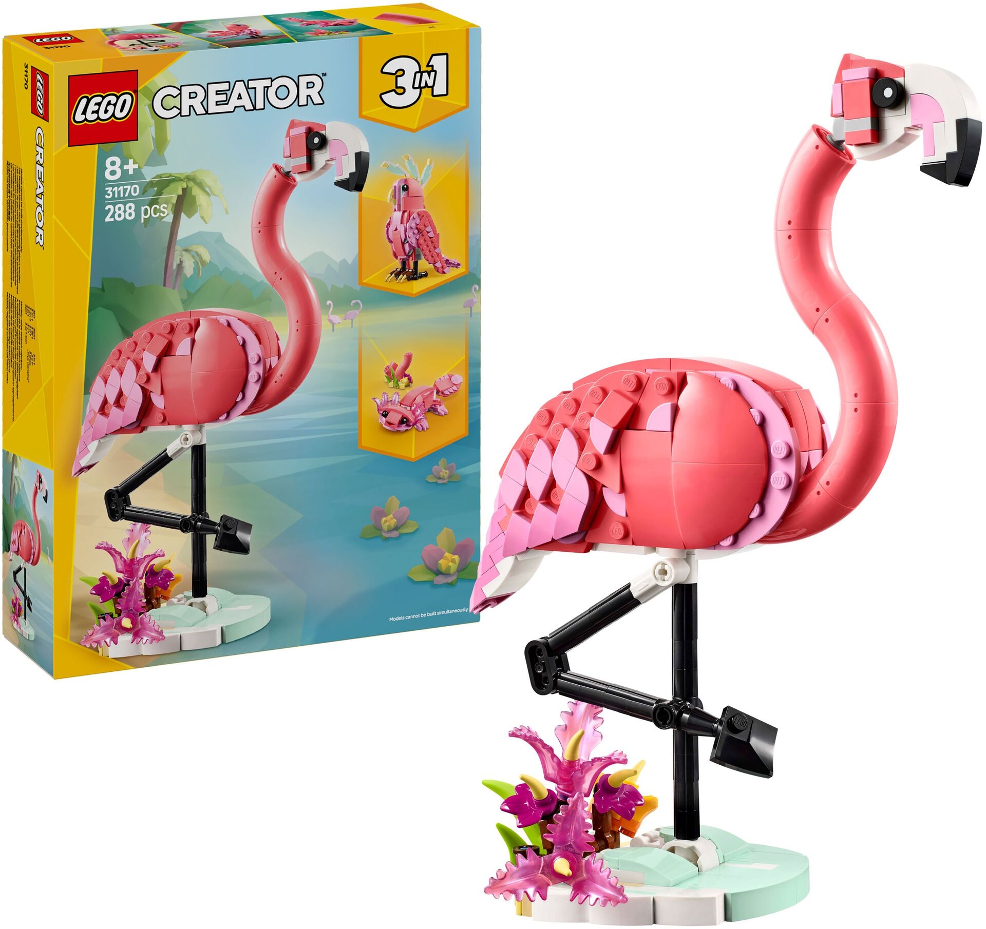 Rosa Flamingo
