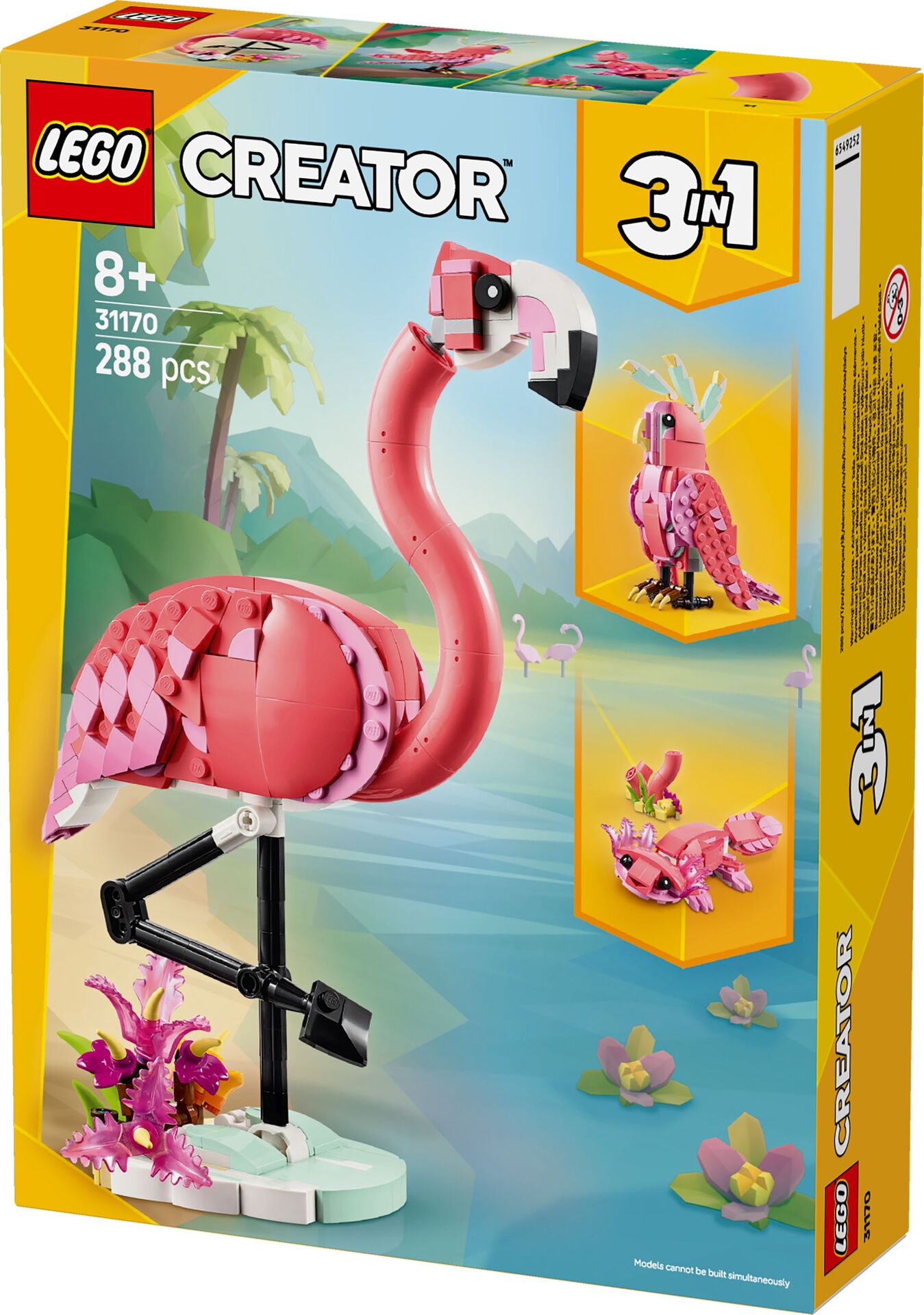 Rosa Flamingo