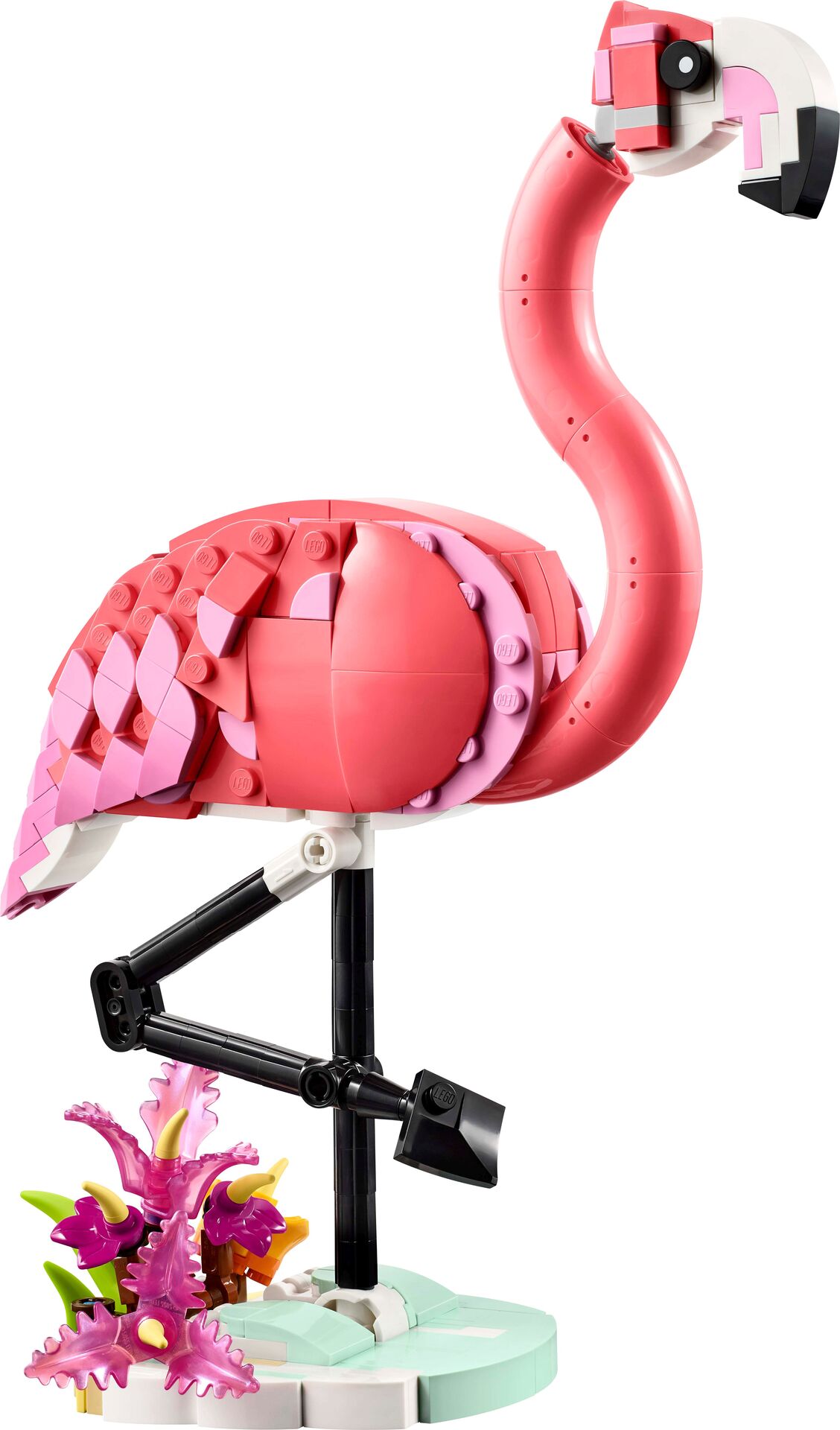 Rosa Flamingo