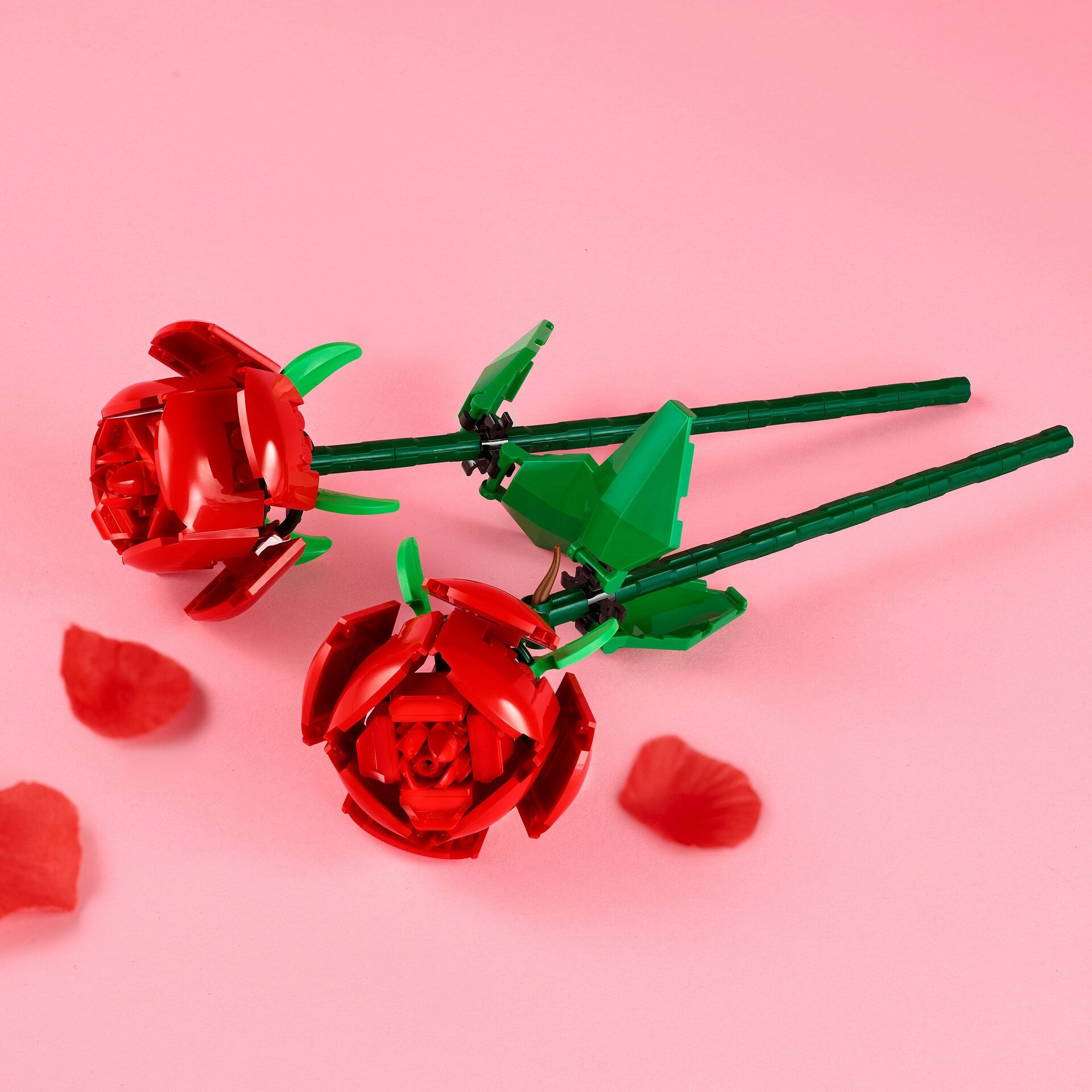 Rosen