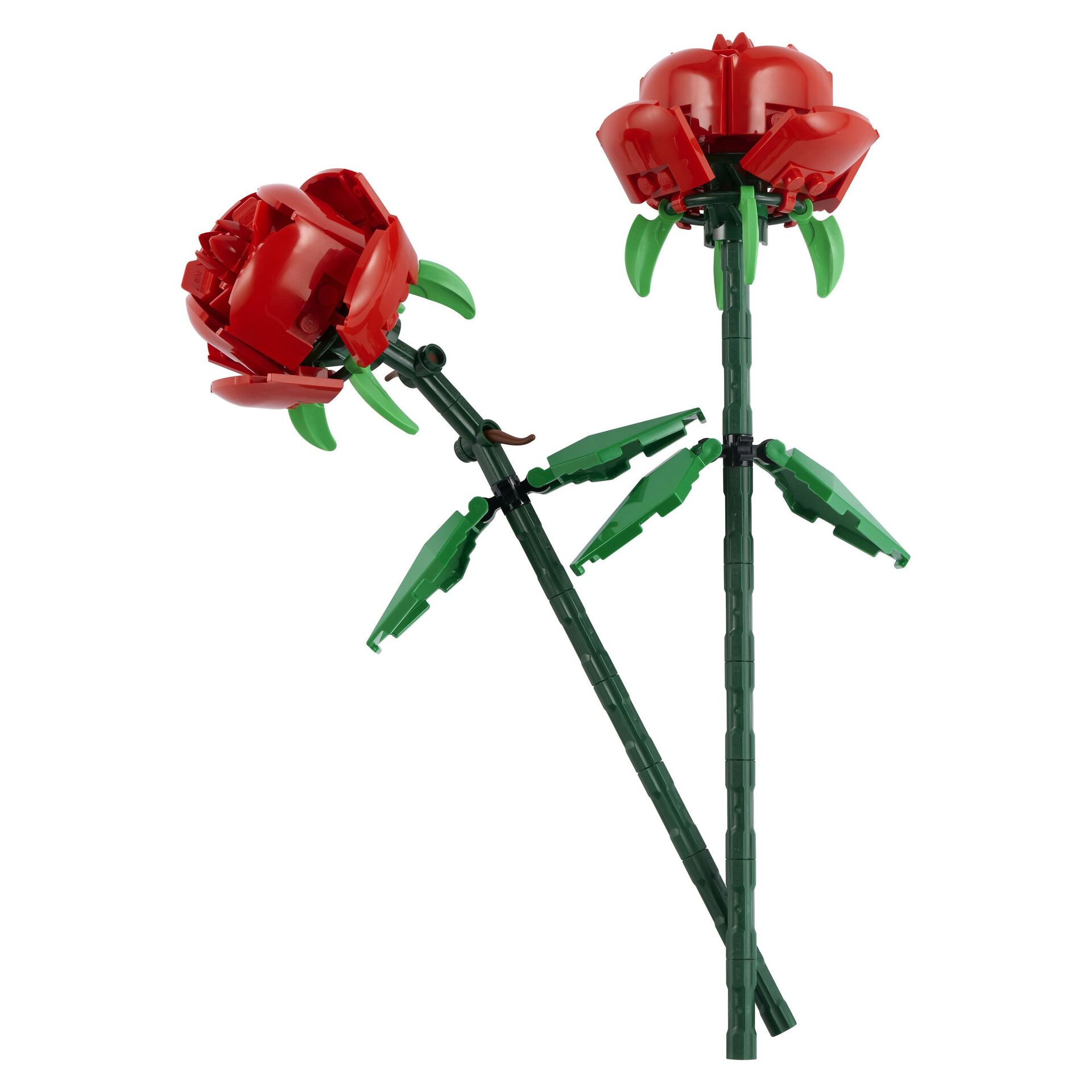 LEGO® Botanicals 40460 Rosen – Bild 2