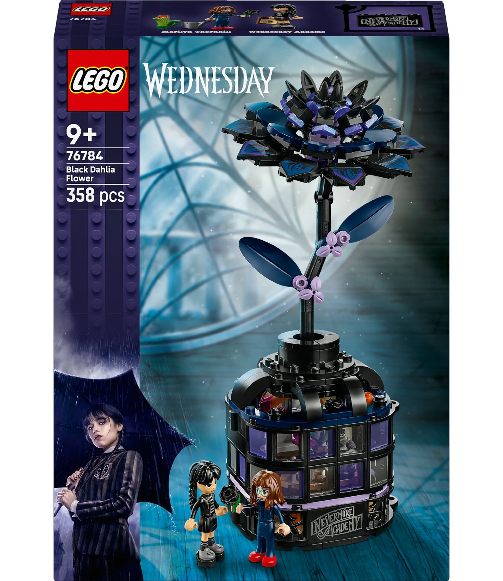 Wednesday 76784 Schwarze Dahliea